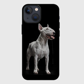 Чехол для iPhone 13 mini с принтом Bully в Кировске,  |  | Тематика изображения на принте: bull terrier | dog | ears | eyes | fangs | jaw | muzzle | paws | saliva | tongue | бультерьер | глаза | клыки | лапы | нос | пасть | слюна | собака | уши | язык