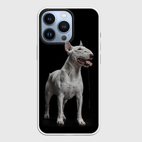 Чехол для iPhone 13 Pro с принтом Bully в Кировске,  |  | Тематика изображения на принте: bull terrier | dog | ears | eyes | fangs | jaw | muzzle | paws | saliva | tongue | бультерьер | глаза | клыки | лапы | нос | пасть | слюна | собака | уши | язык