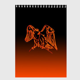 Скетчбук с принтом Огненный орел в Кировске, 100% бумага
 | 48 листов, плотность листов — 100 г/м2, плотность картонной обложки — 250 г/м2. Листы скреплены сверху удобной пружинной спиралью | bird | eagle | falcon | fiery | fire | neon | orange | арт | беркут | горящая птица | дикий | животные | крылья | неоновый | огненная птица | орел | орлан | перья | пламя | природа | птица | птица огонь | птичка | сокол