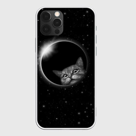 Чехол для iPhone 12 Pro Max с принтом Кот в Космосе в Кировске, Силикон |  | Тематика изображения на принте: 2021 | cat | вселенная | галактика | галактический кот | единорог | звезда | звезды | земля | космический кот | космос | кот | кот в космосе | кот мем | котик | кошак | мем | мемы | милый кот | милый котик