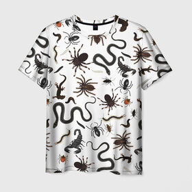 Мужская футболка 3D с принтом Жуткие насекомые в Кировске, 100% полиэфир | прямой крой, круглый вырез горловины, длина до линии бедер | арт | белый | живность | животные | жук | жуткие насекомые | жуть | змея | клоп | набор насекомых | опарыш | паразит | паук | пиявка | рисунок | сколопендра | скорпион | таракан | фон | червь | ядовитый