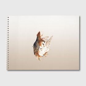 Альбом для рисования с принтом летящая сова рисунок в Кировске, 100% бумага
 | матовая бумага, плотность 200 мг. | акварель | акварельный | арт | брызги | градиент | животные | звери | краска | крылья | момент | полет | потеки | рисунок | скетч | сова | филин