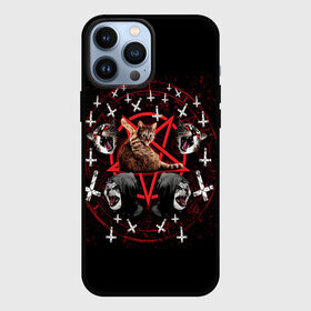 Чехол для iPhone 13 Pro Max с принтом Satanic Cat в Кировске,  |  | satan | киска | кот | кот мем | кошечка | кошка | кошки и коты | лиса | лисы | мем | мемы | с кошкой | сатана