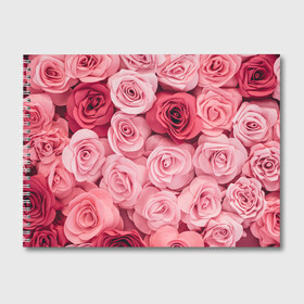 Альбом для рисования с принтом Розовые Розы в Кировске, 100% бумага
 | матовая бумага, плотность 200 мг. | pink | rose | день святого валентина | красивый | любовь | прекрасный | роза | цветок | цветы
