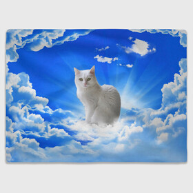 Плед 3D с принтом Кот в облаках в Кировске, 100% полиэстер | закругленные углы, все края обработаны. Ткань не мнется и не растягивается | animals | cat | kitty | ангел | белый кот | блики | взгляд кота | глаза кота | животные | киска | кот | котейка | котенок | котик | кошак | кошка | лучи | мордочка | небесный | небо | облака | пейзаж | питомец