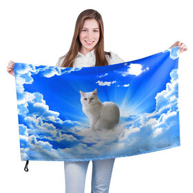 Флаг 3D с принтом Кот в облаках в Кировске, 100% полиэстер | плотность ткани — 95 г/м2, размер — 67 х 109 см. Принт наносится с одной стороны | animals | cat | kitty | ангел | белый кот | блики | взгляд кота | глаза кота | животные | киска | кот | котейка | котенок | котик | кошак | кошка | лучи | мордочка | небесный | небо | облака | пейзаж | питомец