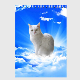 Скетчбук с принтом Кот в облаках в Кировске, 100% бумага
 | 48 листов, плотность листов — 100 г/м2, плотность картонной обложки — 250 г/м2. Листы скреплены сверху удобной пружинной спиралью | animals | cat | kitty | ангел | белый кот | блики | взгляд кота | глаза кота | животные | киска | кот | котейка | котенок | котик | кошак | кошка | лучи | мордочка | небесный | небо | облака | пейзаж | питомец