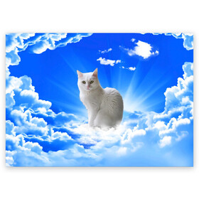 Поздравительная открытка с принтом Кот в облаках в Кировске, 100% бумага | плотность бумаги 280 г/м2, матовая, на обратной стороне линовка и место для марки
 | animals | cat | kitty | ангел | белый кот | блики | взгляд кота | глаза кота | животные | киска | кот | котейка | котенок | котик | кошак | кошка | лучи | мордочка | небесный | небо | облака | пейзаж | питомец