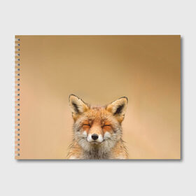 Альбом для рисования с принтом Милая лисичка в Кировске, 100% бумага
 | матовая бумага, плотность 200 мг. | Тематика изображения на принте: fox | foxy | животное | звери | лиса | лисенок | лисичка | милая | рыжая | фокс