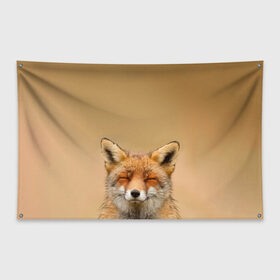 Флаг-баннер с принтом Милая лисичка в Кировске, 100% полиэстер | размер 67 х 109 см, плотность ткани — 95 г/м2; по краям флага есть четыре люверса для крепления | fox | foxy | животное | звери | лиса | лисенок | лисичка | милая | рыжая | фокс