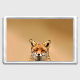 Магнит 45*70 с принтом Милая лисичка в Кировске, Пластик | Размер: 78*52 мм; Размер печати: 70*45 | fox | foxy | животное | звери | лиса | лисенок | лисичка | милая | рыжая | фокс