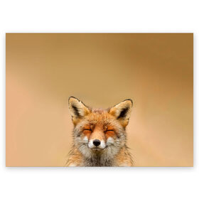 Поздравительная открытка с принтом Милая лисичка в Кировске, 100% бумага | плотность бумаги 280 г/м2, матовая, на обратной стороне линовка и место для марки
 | Тематика изображения на принте: fox | foxy | животное | звери | лиса | лисенок | лисичка | милая | рыжая | фокс