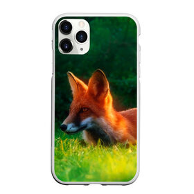 Чехол для iPhone 11 Pro Max матовый с принтом Рыжая лиса в Кировске, Силикон |  | Тематика изображения на принте: fox | foxy | животное | звери | лиса | лисенок | лисичка | милая | рыжая | фокс