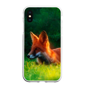 Чехол для iPhone XS Max матовый с принтом Рыжая лиса в Кировске, Силикон | Область печати: задняя сторона чехла, без боковых панелей | Тематика изображения на принте: fox | foxy | животное | звери | лиса | лисенок | лисичка | милая | рыжая | фокс