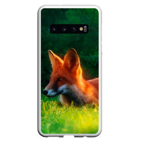 Чехол для Samsung Galaxy S10 с принтом Рыжая лиса в Кировске, Силикон | Область печати: задняя сторона чехла, без боковых панелей | fox | foxy | животное | звери | лиса | лисенок | лисичка | милая | рыжая | фокс