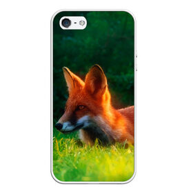 Чехол для iPhone 5/5S матовый с принтом Рыжая лиса в Кировске, Силикон | Область печати: задняя сторона чехла, без боковых панелей | fox | foxy | животное | звери | лиса | лисенок | лисичка | милая | рыжая | фокс