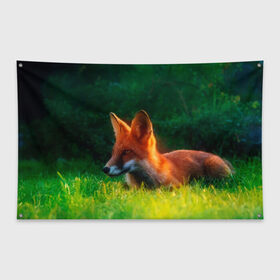 Флаг-баннер с принтом Рыжая лиса в Кировске, 100% полиэстер | размер 67 х 109 см, плотность ткани — 95 г/м2; по краям флага есть четыре люверса для крепления | fox | foxy | животное | звери | лиса | лисенок | лисичка | милая | рыжая | фокс