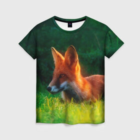 Женская футболка 3D с принтом Рыжая лиса в Кировске, 100% полиэфир ( синтетическое хлопкоподобное полотно) | прямой крой, круглый вырез горловины, длина до линии бедер | fox | foxy | животное | звери | лиса | лисенок | лисичка | милая | рыжая | фокс
