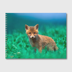 Альбом для рисования с принтом маленький лисенок в Кировске, 100% бумага
 | матовая бумага, плотность 200 мг. | Тематика изображения на принте: fox | foxy | животное | звери | лиса | лисенок | лисичка | милая | рыжая | фокс