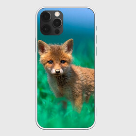 Чехол для iPhone 12 Pro Max с принтом маленький лисенок в Кировске, Силикон |  | Тематика изображения на принте: fox | foxy | животное | звери | лиса | лисенок | лисичка | милая | рыжая | фокс