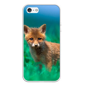 Чехол для iPhone 5/5S матовый с принтом маленький лисенок в Кировске, Силикон | Область печати: задняя сторона чехла, без боковых панелей | Тематика изображения на принте: fox | foxy | животное | звери | лиса | лисенок | лисичка | милая | рыжая | фокс