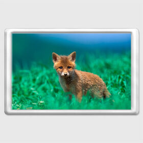 Магнит 45*70 с принтом маленький лисенок в Кировске, Пластик | Размер: 78*52 мм; Размер печати: 70*45 | fox | foxy | животное | звери | лиса | лисенок | лисичка | милая | рыжая | фокс
