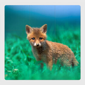 Магнитный плакат 3Х3 с принтом маленький лисенок в Кировске, Полимерный материал с магнитным слоем | 9 деталей размером 9*9 см | fox | foxy | животное | звери | лиса | лисенок | лисичка | милая | рыжая | фокс