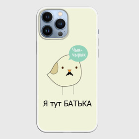 Чехол для iPhone 13 Pro Max с принтом Чык чырык в Кировске,  |  | belarus | chyk chyryk | daddy | lukashenka | mustache | print chyk chyryk | sparrow | sparrow chyk chyryk | sparrow with mustache | батька | беларусь | воробей | воробей с усами | воробей чык чырык | лукашенко | принт чык чырык | усы | чык ч