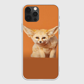 Чехол для iPhone 12 Pro Max с принтом Забавный лисенок в Кировске, Силикон |  | Тематика изображения на принте: fox | foxy | животное | звери | лиса | лисенок | лисичка | милая | рыжая | фокс