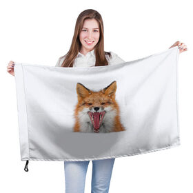 Флаг 3D с принтом Снежная лиса в Кировске, 100% полиэстер | плотность ткани — 95 г/м2, размер — 67 х 109 см. Принт наносится с одной стороны | fox | foxy | животное | звери | лиса | лисенок | лисичка | милая | рыжая | фокс