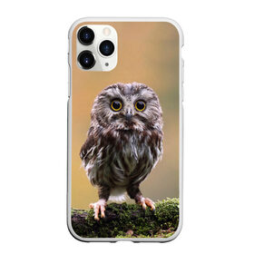 Чехол для iPhone 11 Pro Max матовый с принтом СОВЕНОК в Кировске, Силикон |  | animal | bird | животные | звери | лес | малыш | природа | птенец | птицы | сова | совенок