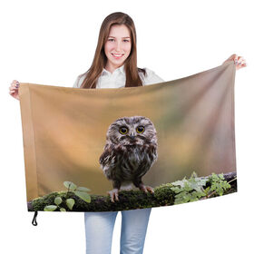 Флаг 3D с принтом СОВЕНОК в Кировске, 100% полиэстер | плотность ткани — 95 г/м2, размер — 67 х 109 см. Принт наносится с одной стороны | animal | bird | животные | звери | лес | малыш | природа | птенец | птицы | сова | совенок