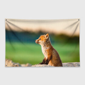 Флаг-баннер с принтом Лиса в Кировске, 100% полиэстер | размер 67 х 109 см, плотность ткани — 95 г/м2; по краям флага есть четыре люверса для крепления | fox | foxy | животное | звери | лиса | лисенок | лисичка | милая | рыжая | фокс