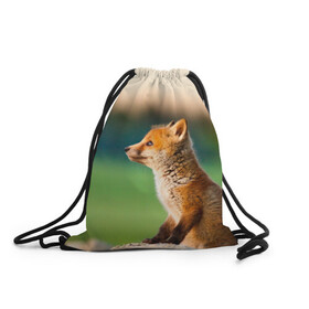 Рюкзак-мешок 3D с принтом Лиса в Кировске, 100% полиэстер | плотность ткани — 200 г/м2, размер — 35 х 45 см; лямки — толстые шнурки, застежка на шнуровке, без карманов и подкладки | fox | foxy | животное | звери | лиса | лисенок | лисичка | милая | рыжая | фокс