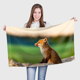 Флаг 3D с принтом Лиса в Кировске, 100% полиэстер | плотность ткани — 95 г/м2, размер — 67 х 109 см. Принт наносится с одной стороны | fox | foxy | животное | звери | лиса | лисенок | лисичка | милая | рыжая | фокс
