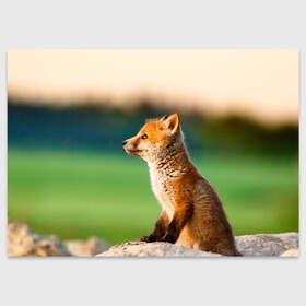 Поздравительная открытка с принтом Лиса в Кировске, 100% бумага | плотность бумаги 280 г/м2, матовая, на обратной стороне линовка и место для марки
 | Тематика изображения на принте: fox | foxy | животное | звери | лиса | лисенок | лисичка | милая | рыжая | фокс
