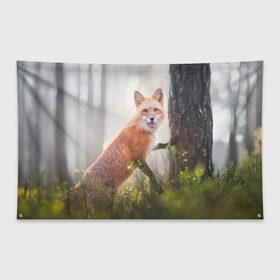 Флаг-баннер с принтом Лисица в Кировске, 100% полиэстер | размер 67 х 109 см, плотность ткани — 95 г/м2; по краям флага есть четыре люверса для крепления | fox | foxy | животное | звери | лиса | лисенок | лисичка | милая | рыжая | фокс
