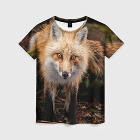 Женская футболка 3D с принтом Лиса в Кировске, 100% полиэфир ( синтетическое хлопкоподобное полотно) | прямой крой, круглый вырез горловины, длина до линии бедер | fox | foxy | животное | звери | лиса | лисенок | лисичка | милая | рыжая | фокс