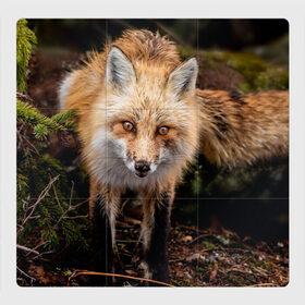 Магнитный плакат 3Х3 с принтом Лиса в Кировске, Полимерный материал с магнитным слоем | 9 деталей размером 9*9 см | fox | foxy | животное | звери | лиса | лисенок | лисичка | милая | рыжая | фокс