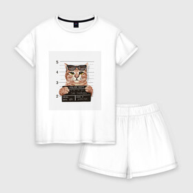 Женская пижама с шортиками хлопок с принтом Арестованный кот в Кировске, 100% хлопок | футболка прямого кроя, шорты свободные с широкой мягкой резинкой | арестованный | кот | лапки | очки | преступник | табличка | усы