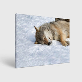 Холст прямоугольный с принтом Спящий Волк в Кировске, 100% ПВХ |  | Тематика изображения на принте: animals | wolf | волк | волки | животные | звери | зверь | одиночество | одиночка | пёс | собака | спящий волк