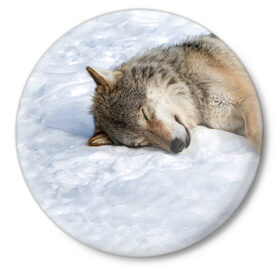 Значок с принтом Спящий Волк в Кировске,  металл | круглая форма, металлическая застежка в виде булавки | animals | wolf | волк | волки | животные | звери | зверь | одиночество | одиночка | пёс | собака | спящий волк