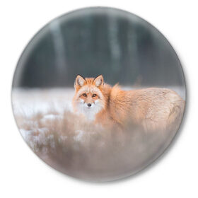 Значок с принтом Лиса в Кировске,  металл | круглая форма, металлическая застежка в виде булавки | Тематика изображения на принте: fox | foxy | животное | звери | лиса | лисенок | лисичка | милая | рыжая | фокс