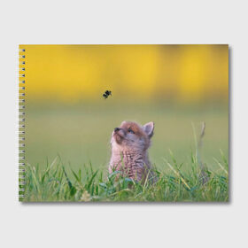 Альбом для рисования с принтом Лисенок и пчелка в Кировске, 100% бумага
 | матовая бумага, плотность 200 мг. | fox | foxy | животное | звери | лиса | лисенок | лисичка | милая | рыжая | фокс