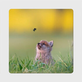 Магнит виниловый Квадрат с принтом Лисенок и пчелка в Кировске, полимерный материал с магнитным слоем | размер 9*9 см, закругленные углы | fox | foxy | животное | звери | лиса | лисенок | лисичка | милая | рыжая | фокс