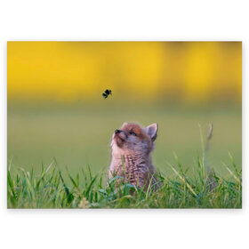 Поздравительная открытка с принтом Лисенок и пчелка в Кировске, 100% бумага | плотность бумаги 280 г/м2, матовая, на обратной стороне линовка и место для марки
 | Тематика изображения на принте: fox | foxy | животное | звери | лиса | лисенок | лисичка | милая | рыжая | фокс