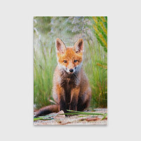 Обложка для паспорта матовая кожа с принтом Лисичка в Кировске, натуральная матовая кожа | размер 19,3 х 13,7 см; прозрачные пластиковые крепления | fox | foxy | животное | звери | лиса | лисенок | лисичка | милая | рыжая | фокс