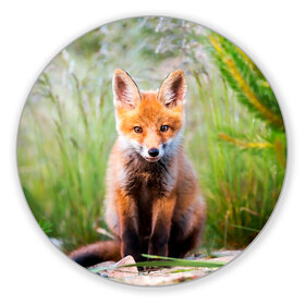 Коврик для мышки круглый с принтом Лисичка в Кировске, резина и полиэстер | круглая форма, изображение наносится на всю лицевую часть | fox | foxy | животное | звери | лиса | лисенок | лисичка | милая | рыжая | фокс