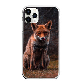 Чехол для iPhone 11 Pro матовый с принтом Хищная лисица в Кировске, Силикон |  | fox | foxy | животное | звери | лиса | лисенок | лисичка | милая | рыжая | фокс