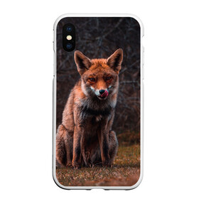 Чехол для iPhone XS Max матовый с принтом Хищная лисица в Кировске, Силикон | Область печати: задняя сторона чехла, без боковых панелей | fox | foxy | животное | звери | лиса | лисенок | лисичка | милая | рыжая | фокс